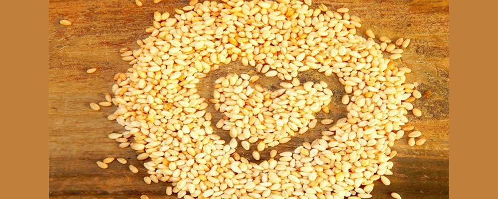 کنجد