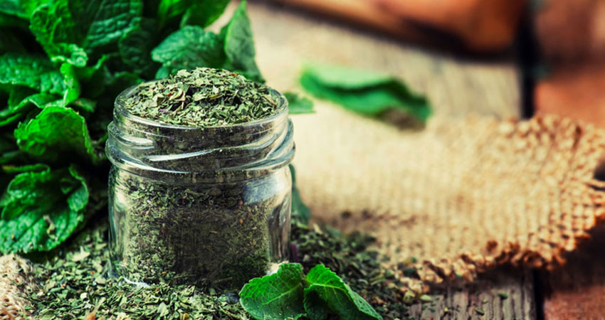 نعنا خشک ملک ،س تو دس