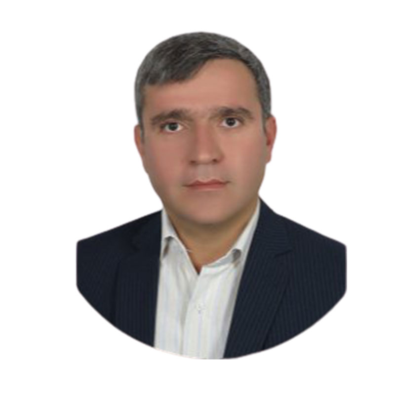 مدیر عامل